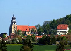 Stiftskirche in Herrenberg von der Ferne